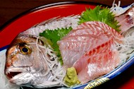 真鯛のお造り