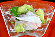 鮃とえごのアボカドソース添え