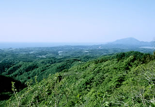 小木ノ城山