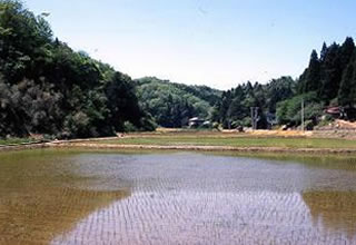 農村風景